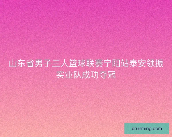 山东省男子三人篮球联赛宁阳站泰安领振实业队成功夺冠